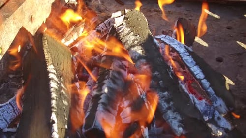 Burning Firewood Creates Orange Flames and Smoke