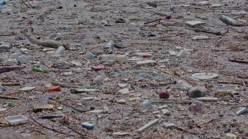 Heaps Of Garbage Thrown Into The Water By People On The Ocean Beach