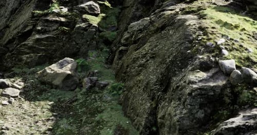 Rocky Terrain with Lush Greenery and Moss in a Natural Landscape