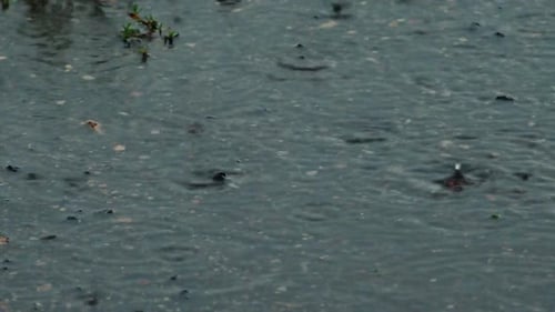 Close-up of water drops falling and splashing on the ground during rain, highlighting the texture an