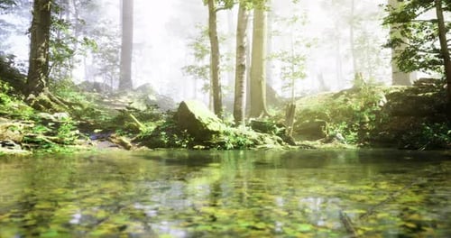 Vibrant Forest Landscape with Serene Pond Surrounded By Lush Greenery