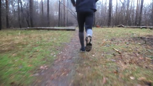 Male Feet of Sporty Runner Jogging Along Trail at Autumn Forest Legs of Young Sportsman Running