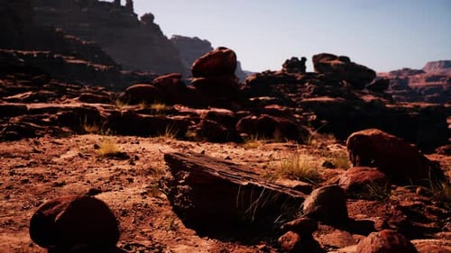 A Rocky Area with Rocks and Grass in the Foreground