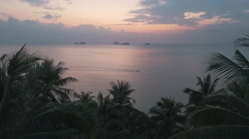 View Through Thick Palm Trees of Sea and Gentle Sunset is Romantic Picture Nature Sunset Creates