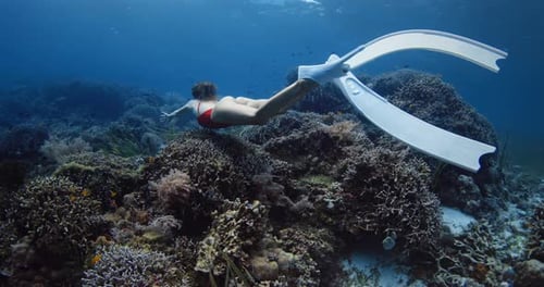 Pretty Sexy Woman Freediver Swims Underwater Over Living Corals in Clear Blue Ocean Free Diving in