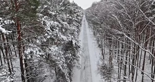Carretera asfaltada congelada en invierno nevado. Transporte en invierno