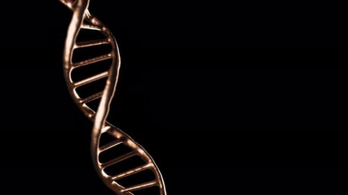 Golden DNA Helix Rotating Seamless Loop