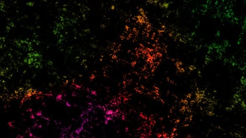 Abstract circuit background animation .amazing background loop animated Vd710