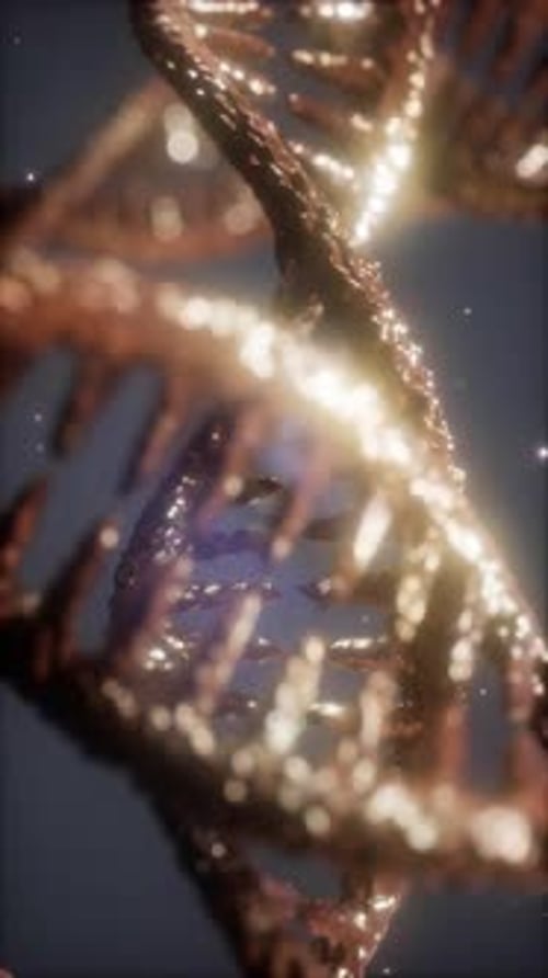 Shimmering Golden DNA Helix Molecular Biology Vertical Loop