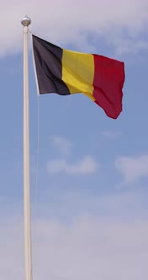 Belgian National Flag Waving in Wind