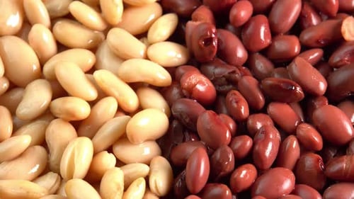 Canned red kidney beans and white kidney beans rotating background close up side view. Organic
