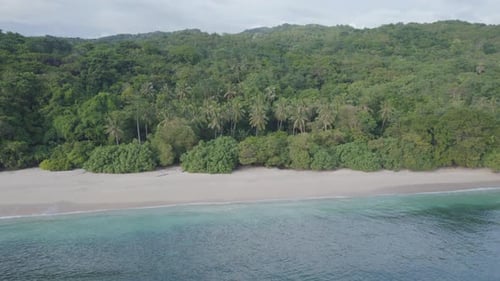 Drone Shot of Pristine Tropical Beach with White Sand and Lush Palm Forest