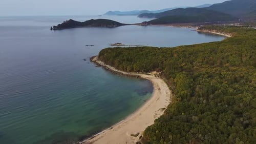 Natural Landscape with Beach Trees and Body of Water