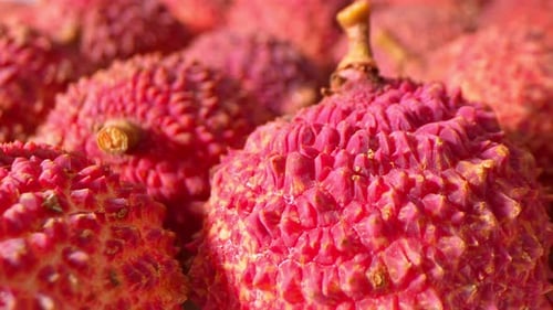 A vibrant close-up showcases lychee fruits.
