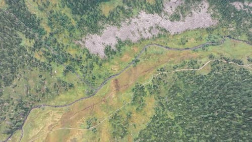 Winding River Flows Through Lush Valley and Coniferous Forest