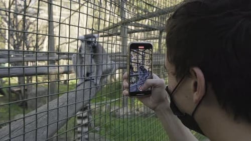 Un homme portant un masque facial contre le coronavirus prend une vidéo d'un lémur curieux assis derrière la clôture d'un zoo en cage