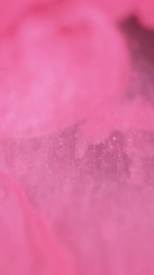 Swirling Pink Abstract Liquid