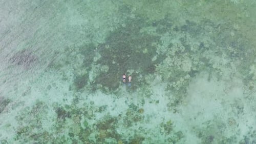 Séquence vidéo 4k d'un couple méconnaissable faisant de la plongée en apnée ensemble dans la mer pendant la journée