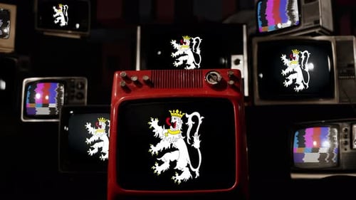 Flag of Ghent, City in Belgium, on Retro TVs.