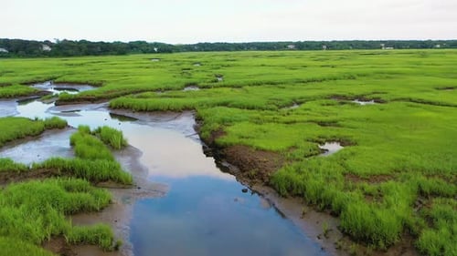 Drone Video of Cape Cod Marshes with Tidal Channels, Wetlands, and Sandy Inlets