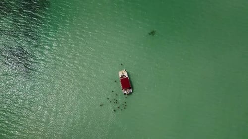 High drone shot over tourist boat in the sea where people are standing in the green sea enjoying the