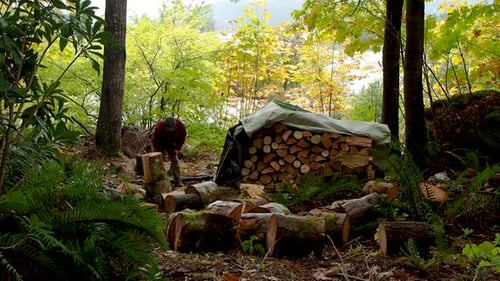 Chopping firewood in a rainforest in BC with an axe.