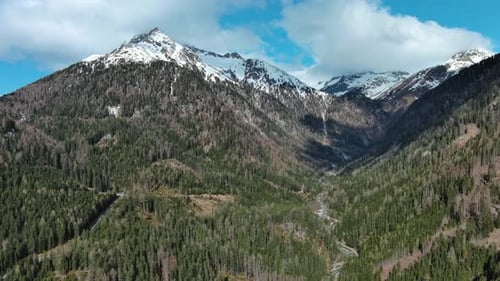 Snow Alp Forest Mountain Range Landscape