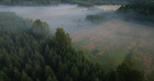 Aerial view around a foggy field on the countryside, gloomy evening in Scandinavia