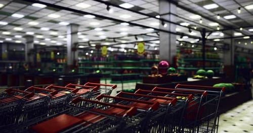 Shopping Carts Lined Up in an Empty Grocery Store During Evening Hours
