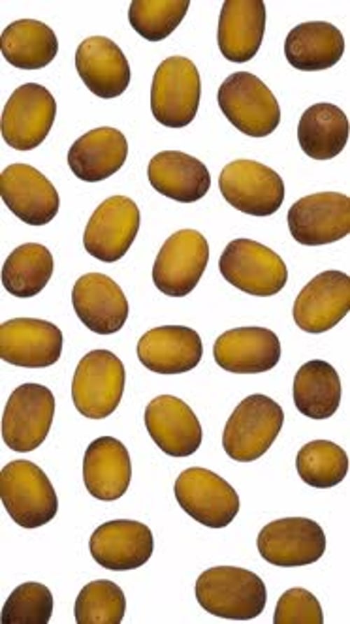 Dates Falling Seamlessly on White Background
