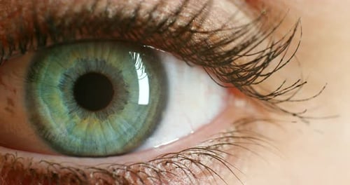 Green eye, macro or vision, eyes or face extreme closeup for sight, awareness or open eyelid