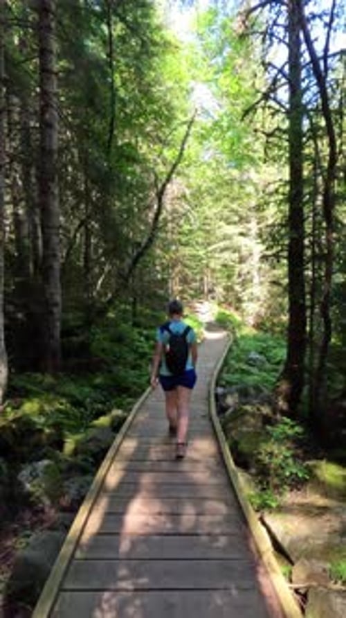 Woman Hiking on Wood Path in Green Forest