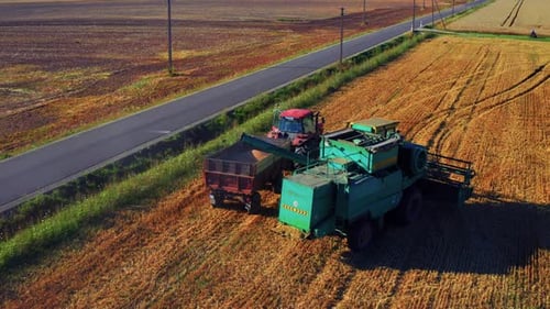 Combine la cosechadora descargando granos en el remolque o el tractor en el campo. - aéreo