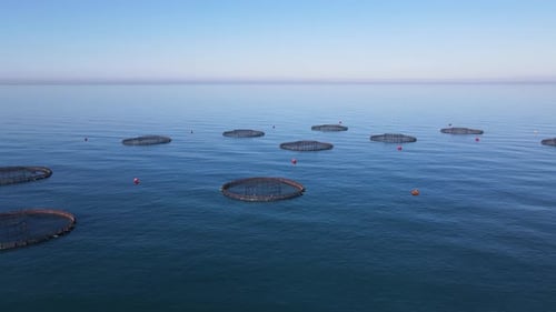 Fish Ponds