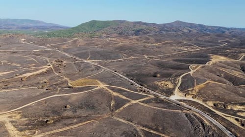 Burnt Forest Landscape After Wildfire - Aerial View in 4K