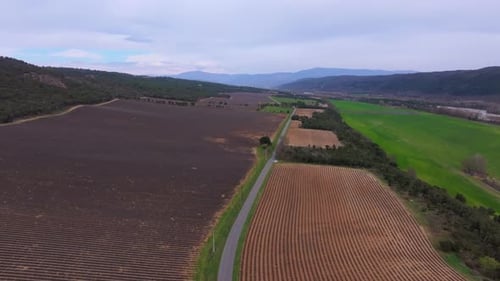 Aerial view of scenic purple fields near Valensole in southeastern France