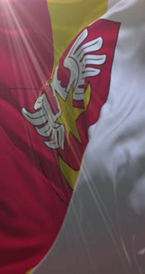 Waving Vertical Flag with Stylized Eagle Crest and Sunlight