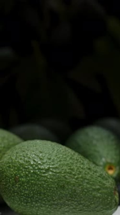 Vertical video. Avocados scattered on the table in darkness, with light slowly fading.