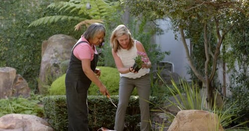Women Planting Flowers Together in a Lush Garden