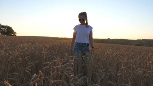 Woman Walks Through Golden Wheat Field at Sunset