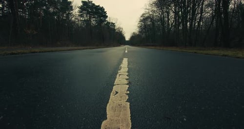 An empty road in a forest of bare trees. The camera tilts up, showing more sky and trees on both sid