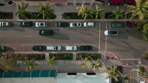 Eine Straße mit vielen grünen Bäumen in einer Luxusgegend Weite Luftaufnahme von oben nach unten