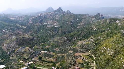 Aerial Video of River and Agricultural Lands with Greenhouses and Orchards in Mountains