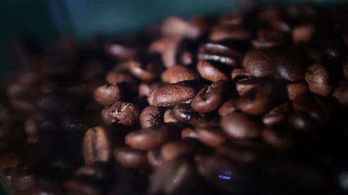 Nahaufnahme von gerösteten Kaffeebohnen in hell gesättigter brauner Farbe