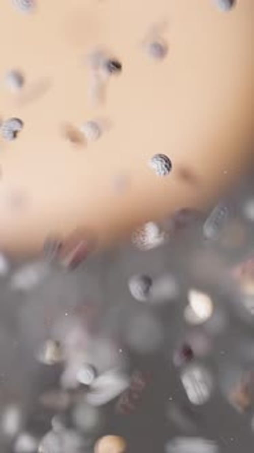 Vertical video. View from under the glass, poppy seeds spill from the wooden spoon onto the camera.