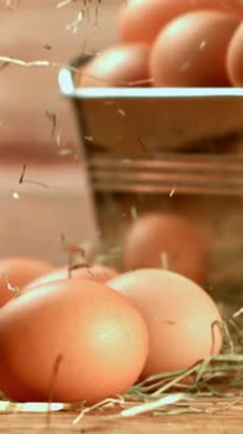 Dried Hay Falls on the Eggs Filmed on a Highspeed Camera at 1000 Fps