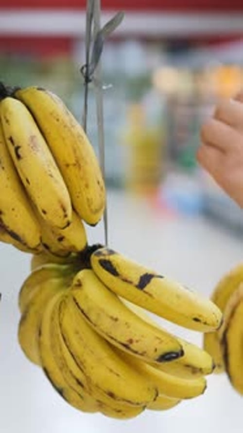 Choosing Organic Bananas in Grocery Store