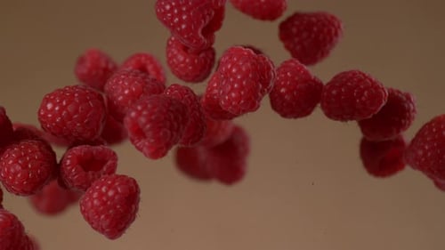 Raspberries Falling in Slow Motion on Brown Background