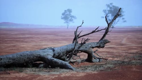 A Fallen Tree in the Middle of a Barren Desert Landscape