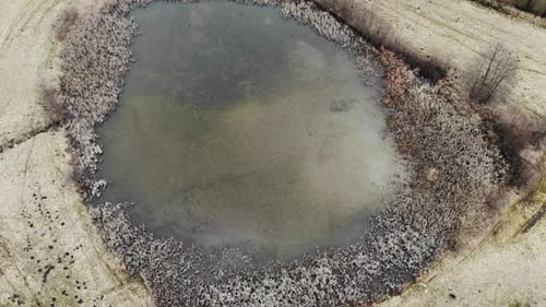 Drohne, Natur und gefrorenes Wasser in Teich, Damm oder Sumpf in Luftaufnahme mit Umgebung